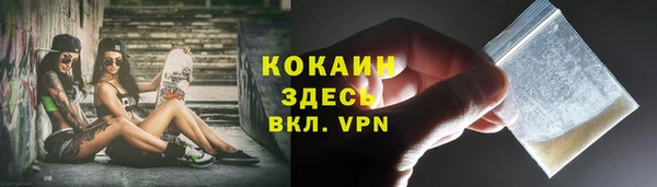 шишки Армянск