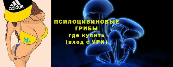 дурь Аркадак