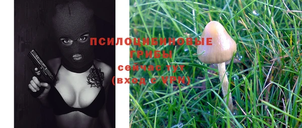 шишки Армянск