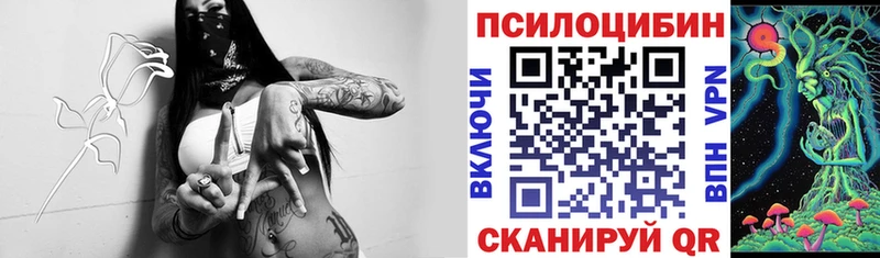Псилоцибиновые грибы Psilocybe  купить наркотик  Осинники 